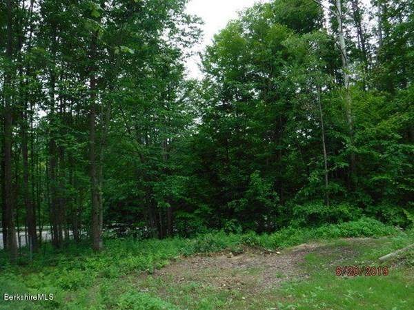 0 Mohawk Trail - Photo 1