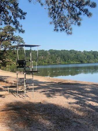 6 Raccoon Ln - Photo 1