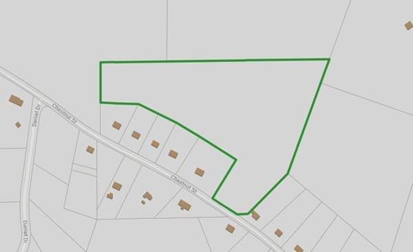 00 Chestnut Street - Photo 1
