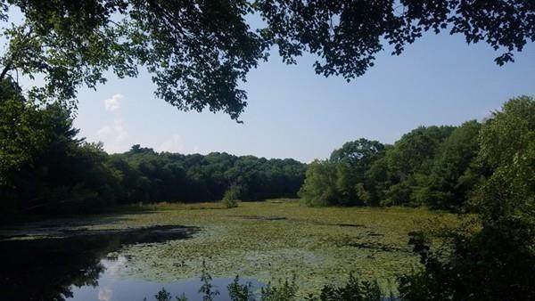 140 Willis Pond Rd - Photo 1