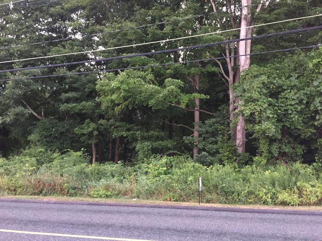 71-B Dudley Hill - Photo 1