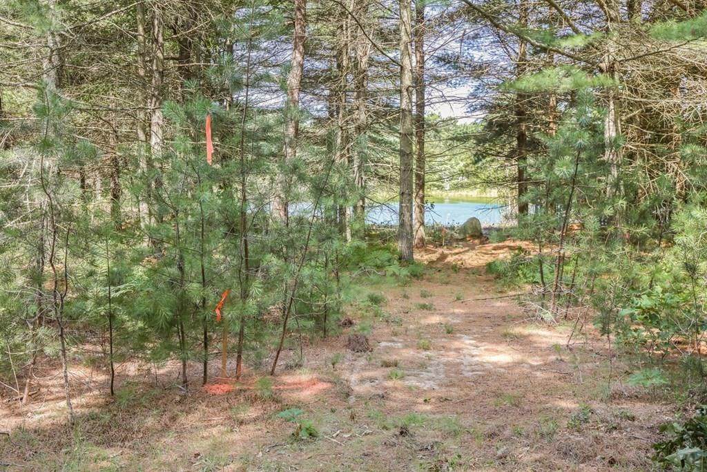 95 Ryecroft - Photo 1