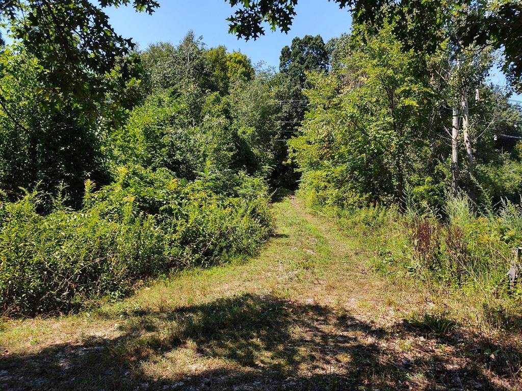 141 Londonderry Road - Photo 1