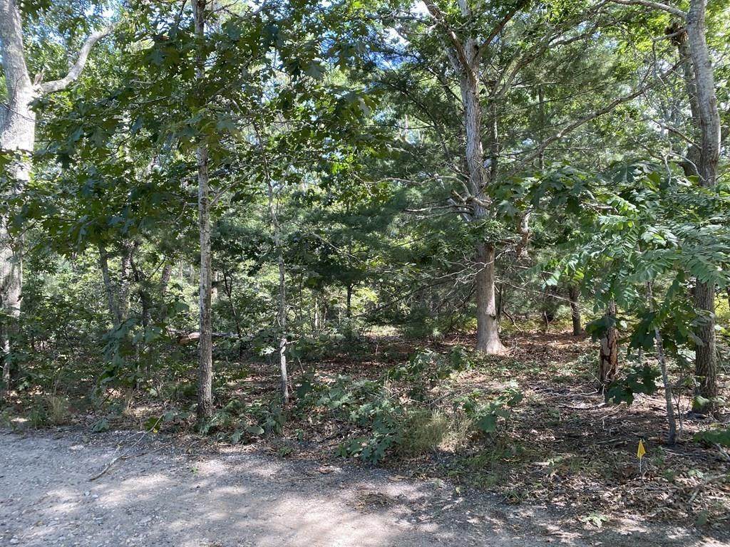 50 Northwood Rd - Photo 1