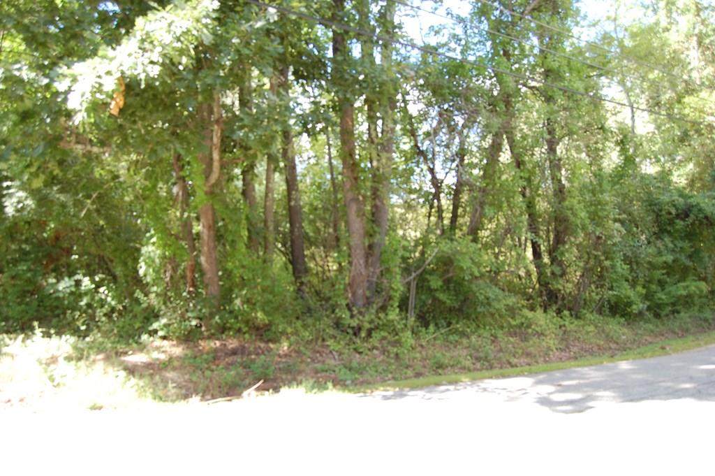 0 Young Rd. - Photo 1