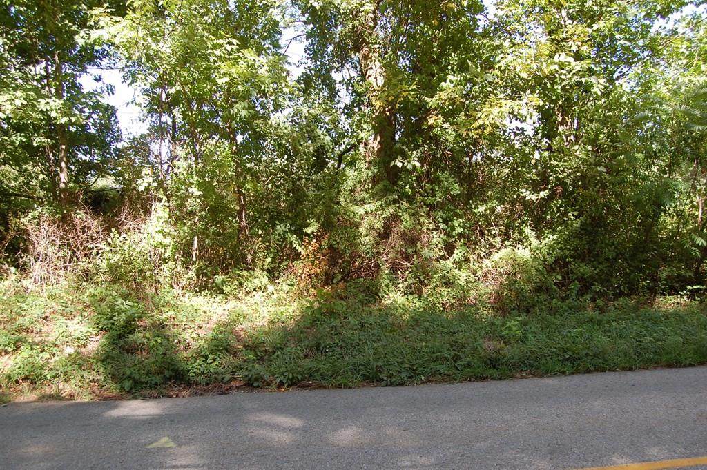 0 Howe St. - Photo 1