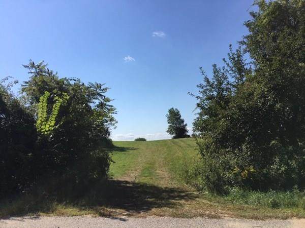 Lot 4A Old Coldbrook Road - Photo 1