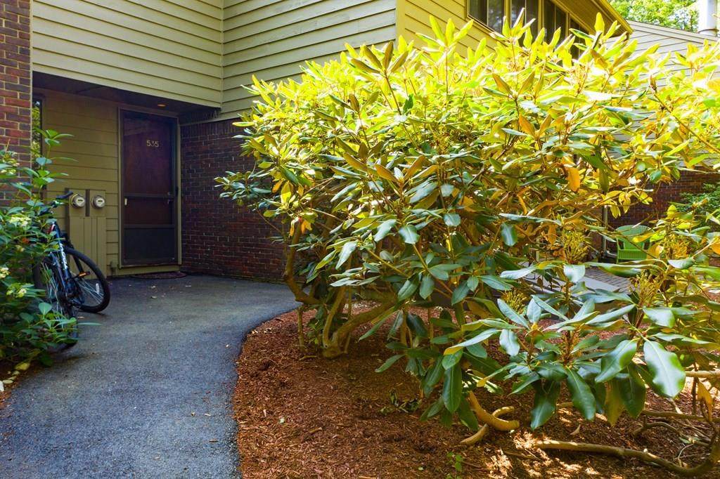 535 Old Stone Brook - Photo 1