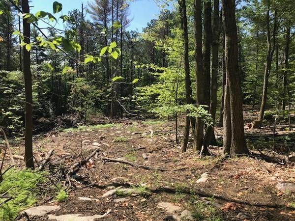 0 West State Rd - Photo 1