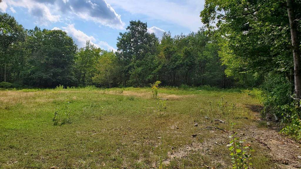 0 Mccarthy Rd - Photo 1