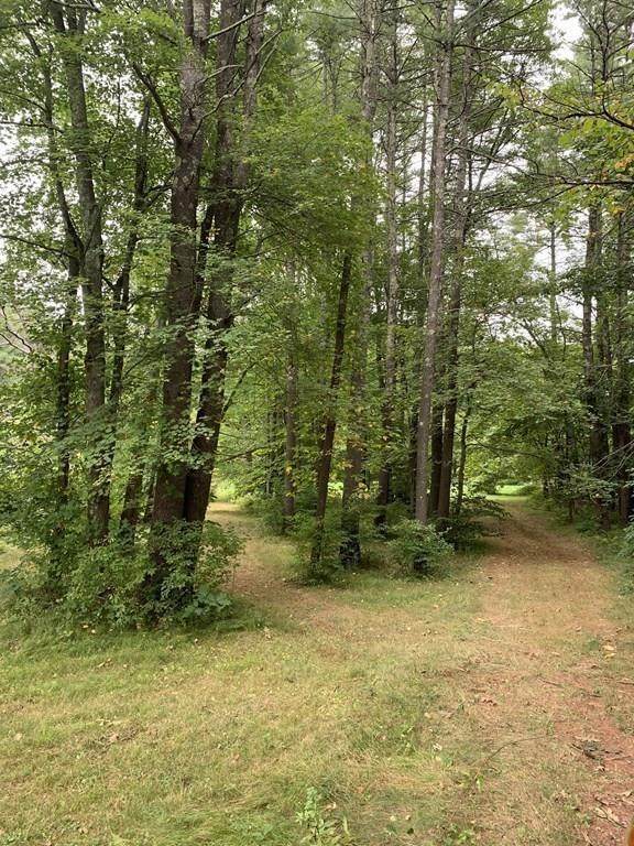 1160 Mammoth Rd - Photo 1
