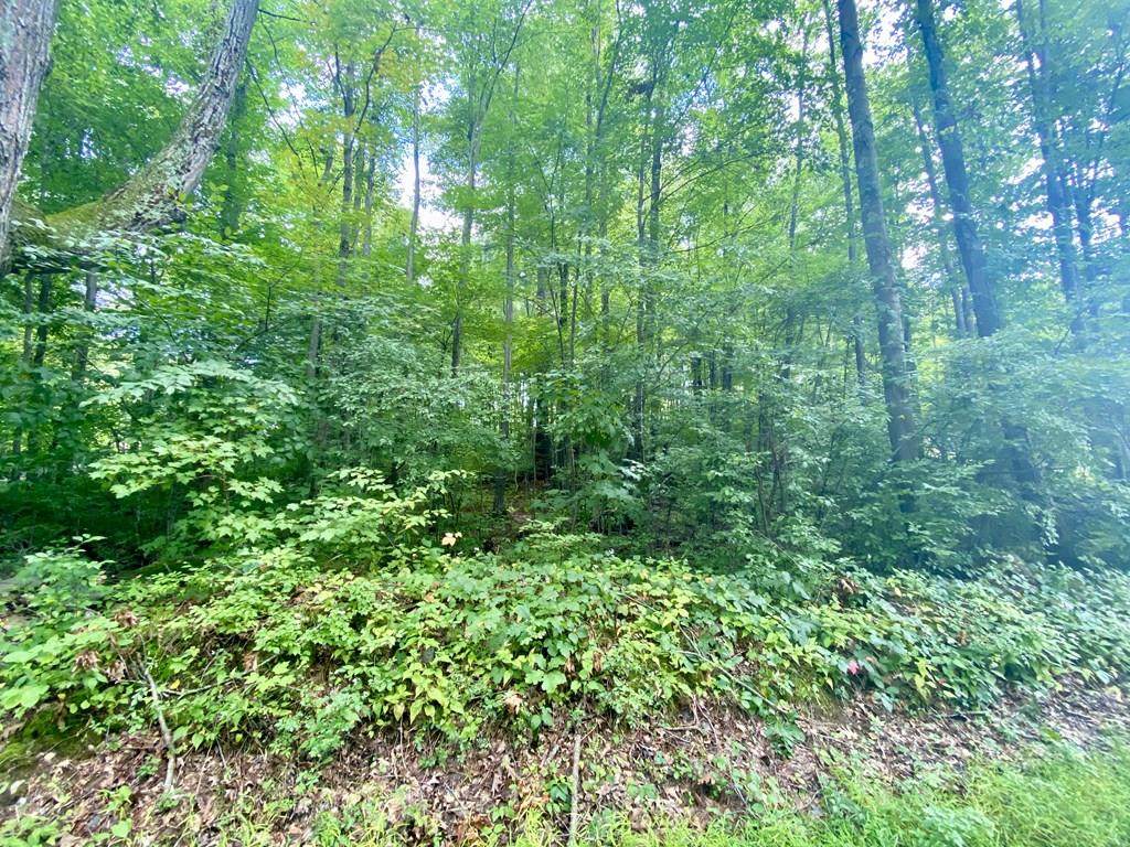 0 Cronin Rd Lot 69 - Photo 1