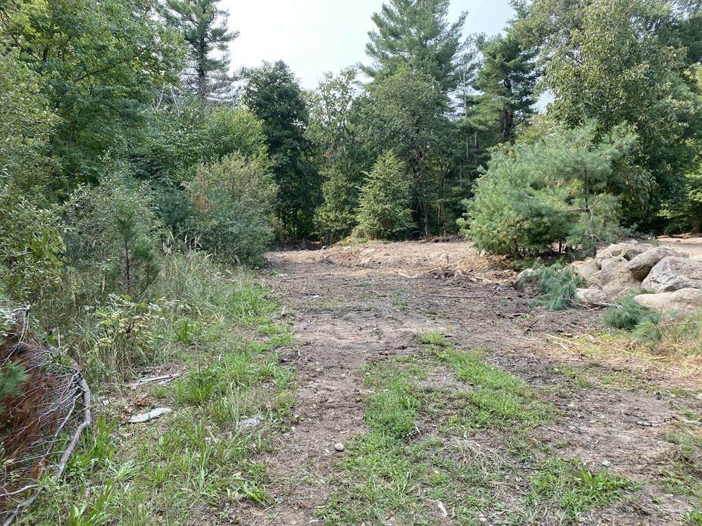 00 Linwood St - Photo 1