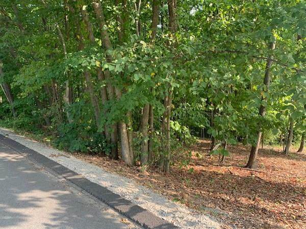 317 Sunnyhill Rd - Photo 1