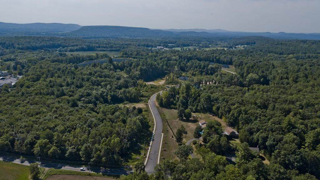 Lot 17 Noblesteed Crossing - Photo 1