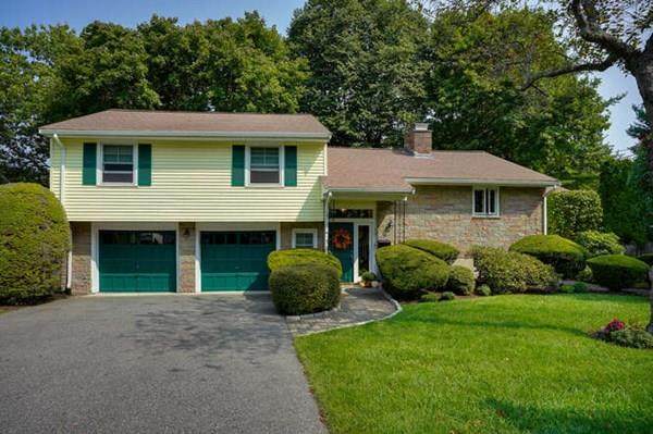 19 Albamont Rd - Photo 1