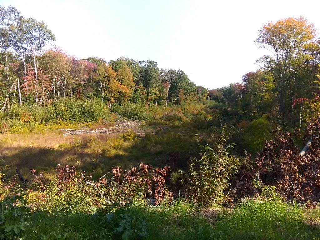 65 Snow Rd - Photo 1