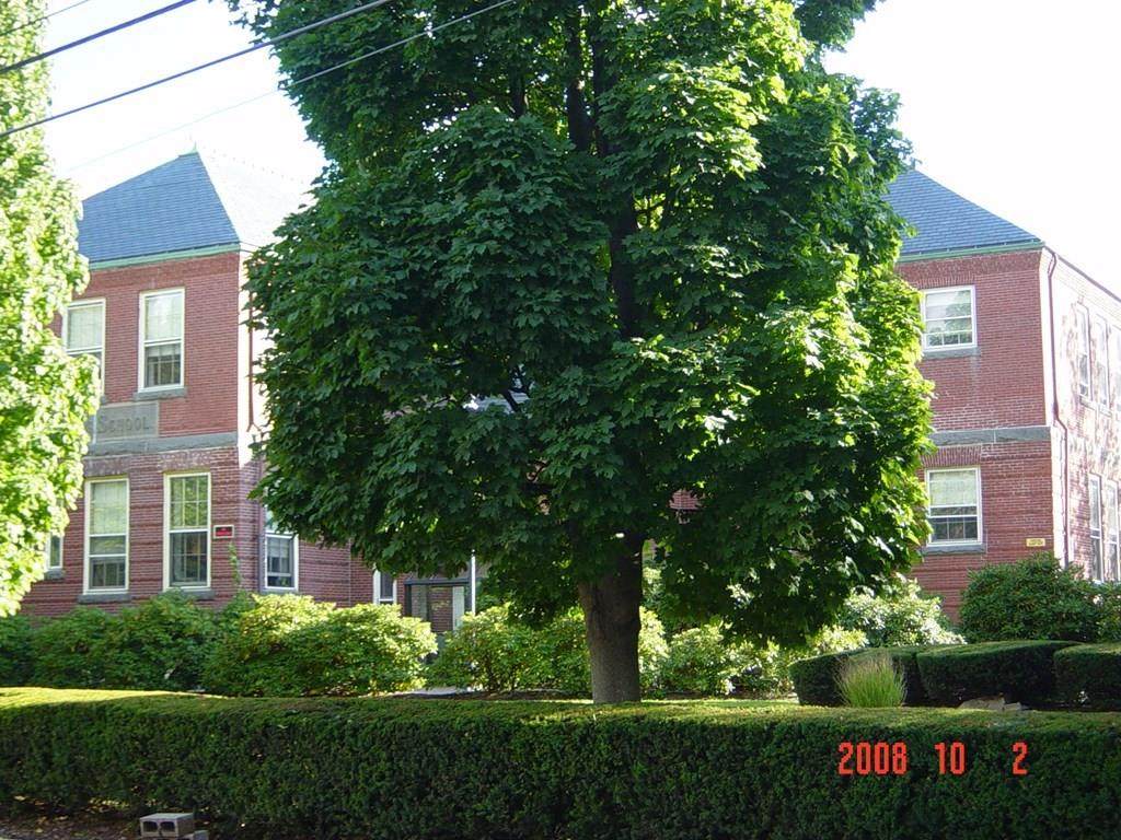 147 Rawson Road - Photo 1