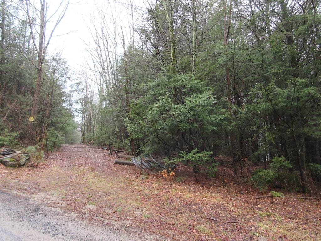 10 Ladd Road - Photo 1