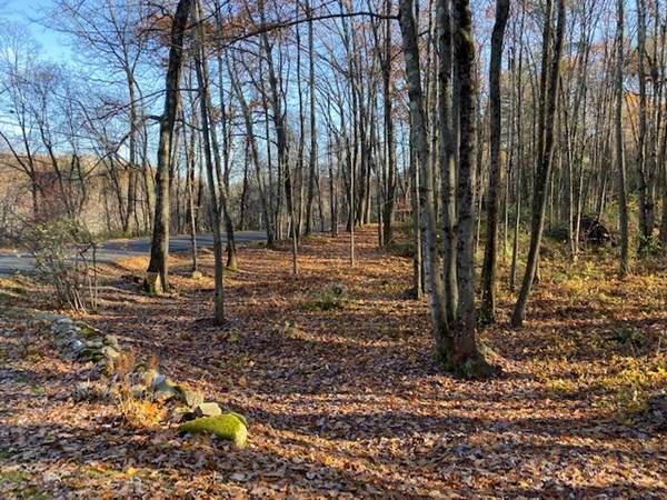 1.93AC Audubon Rd - Photo 1