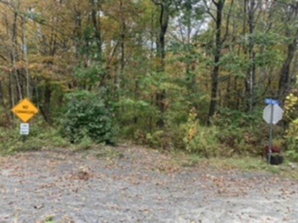 0 Great Woods Rd - Photo 1