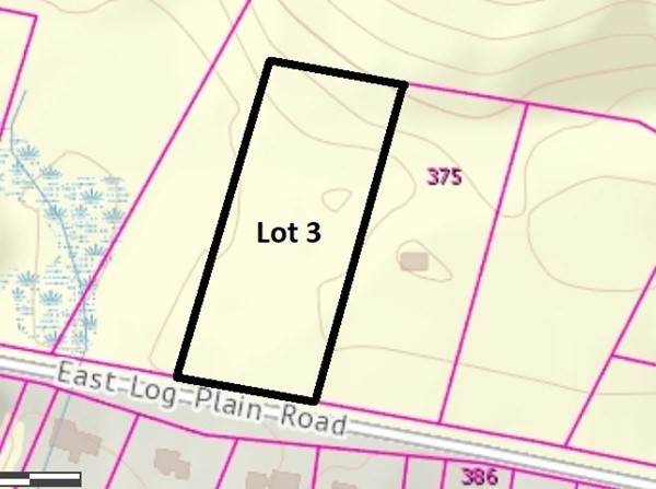 Lot 3 Log Plain Rd - Photo 1