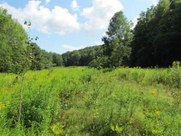 0 Whately Road - Photo 1