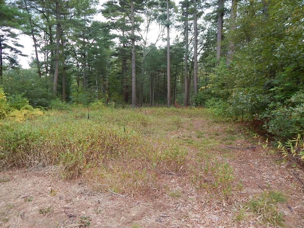 21 Samoset St - Photo 1