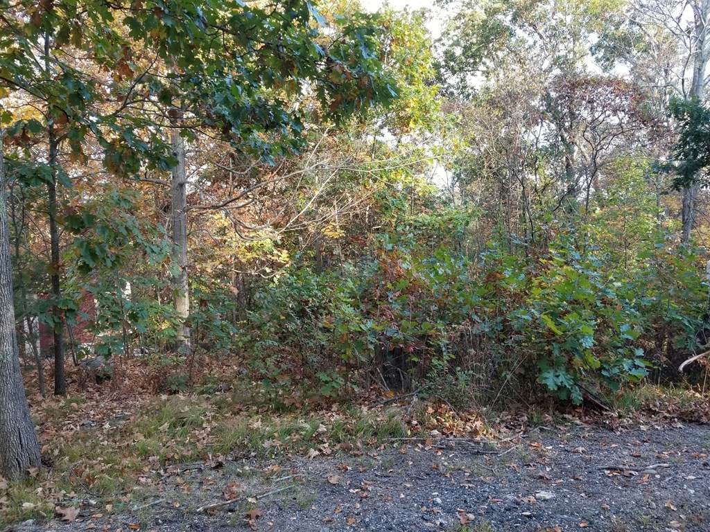 0 Hudson Ave - Photo 1