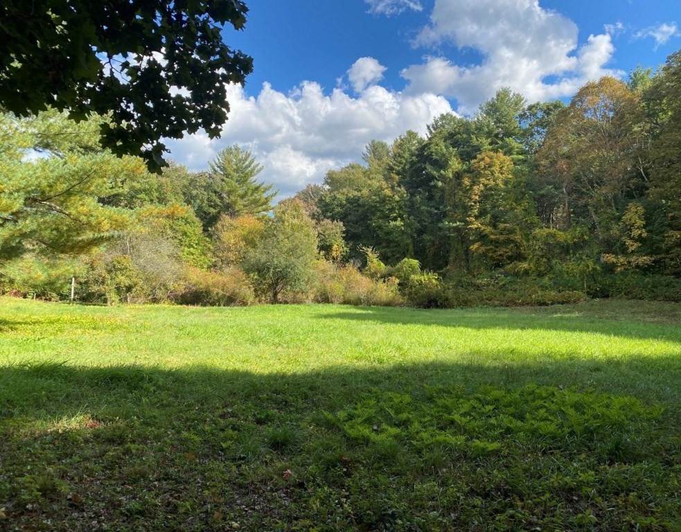 31 Old Concord Road - Photo 1