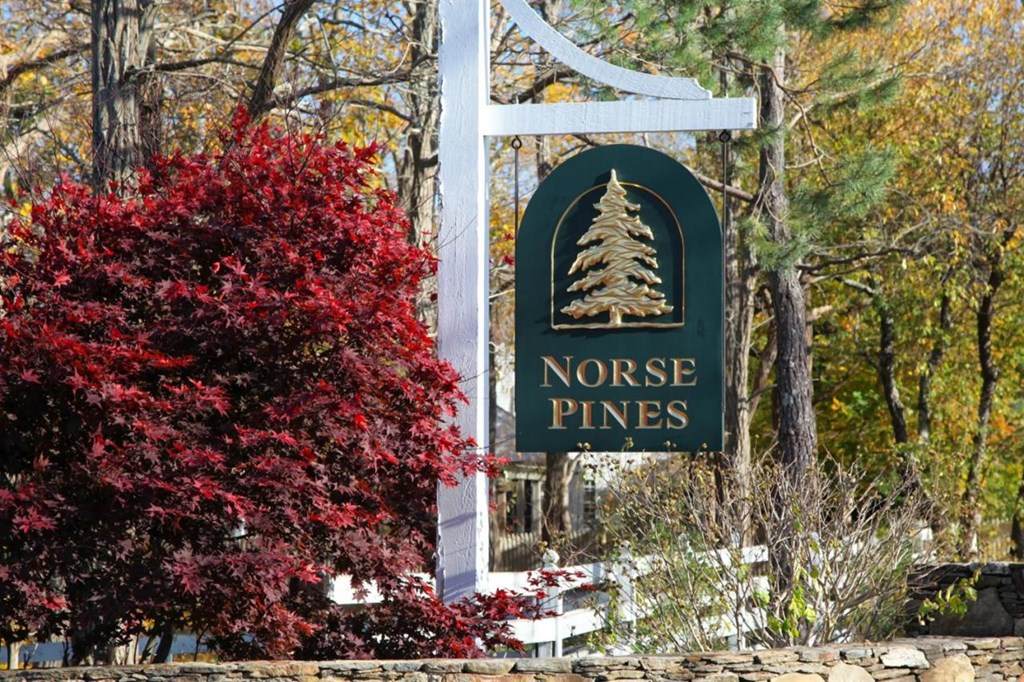 11 Norse Pines Drive - Photo 1