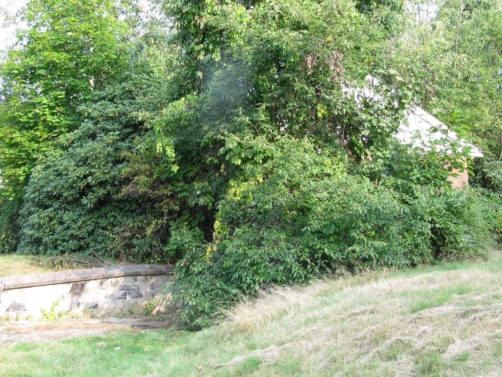 13 Marshall Terrace - Photo 1