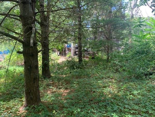 558 Wareham Rd - Photo 1