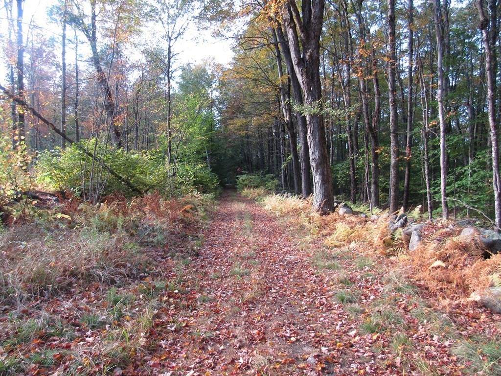 lot 10 Lynes Road - Photo 1