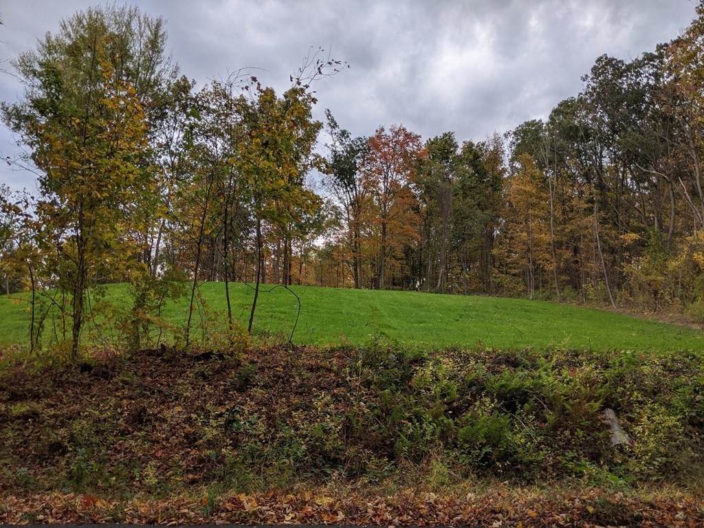 Lot 0 Pelham Rd. - Photo 1