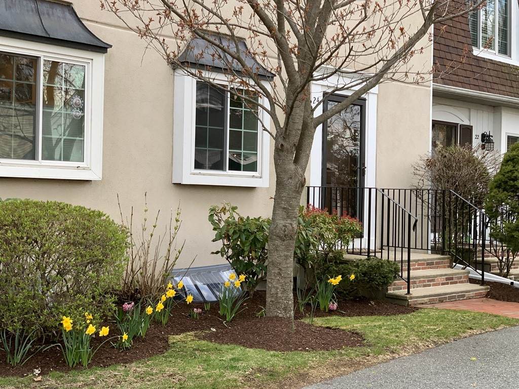 24 Denmark Lane - Photo 1