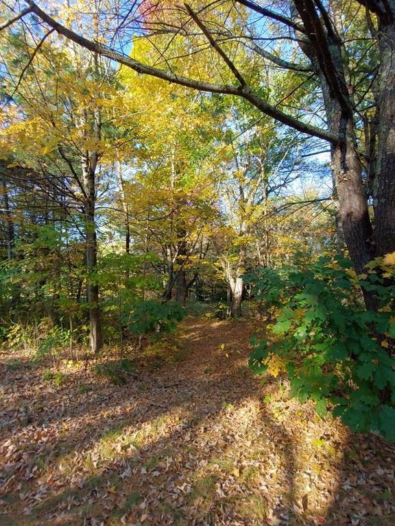 0 Apple Road Lot 2 - Photo 1