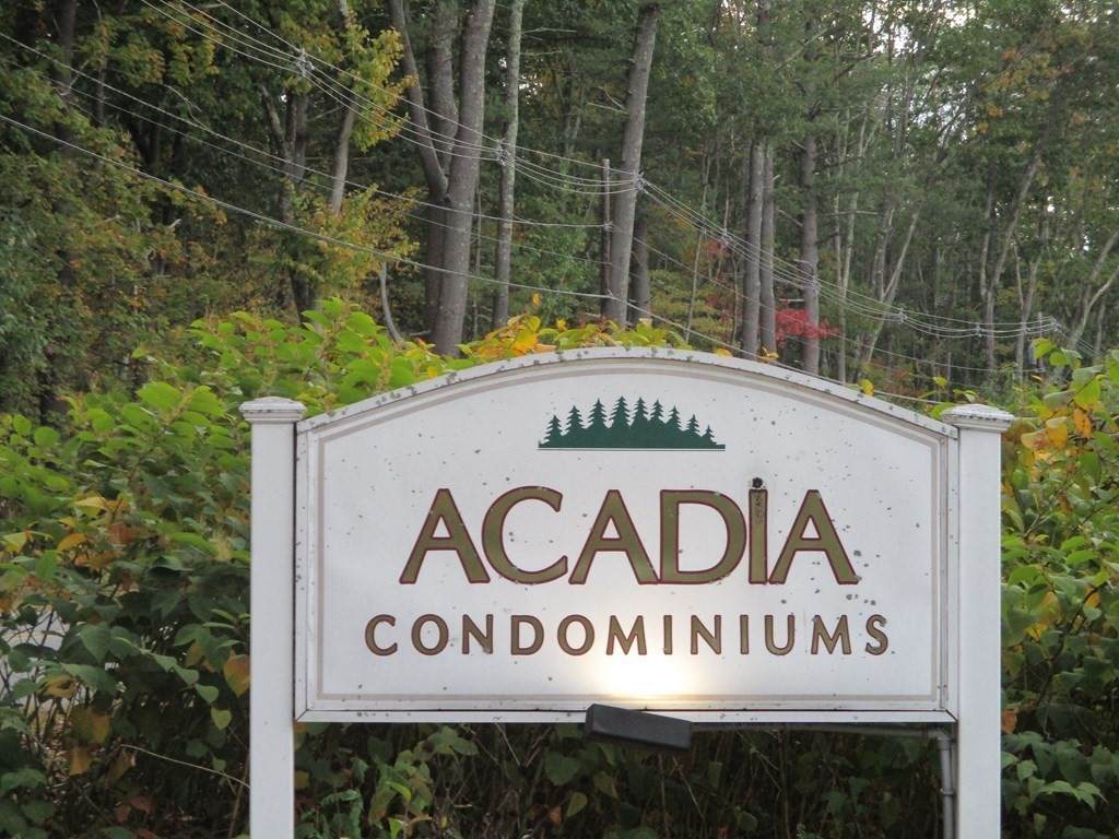 6 Acadia Kimball - Photo 1