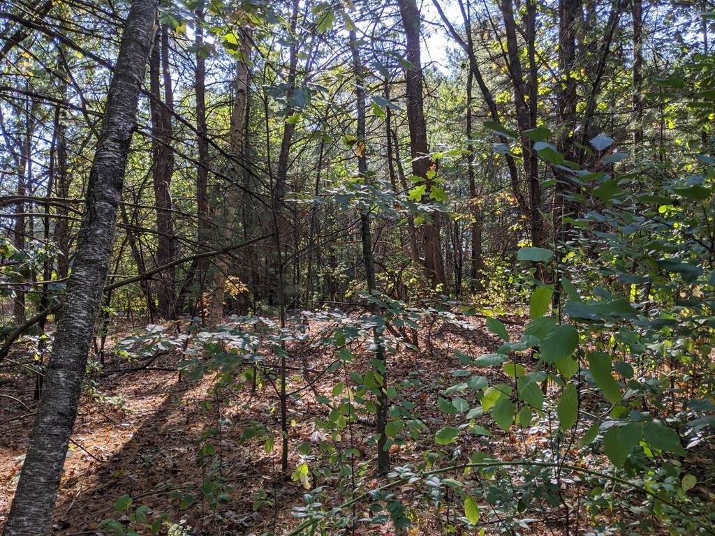 0 Baron Way - Photo 1