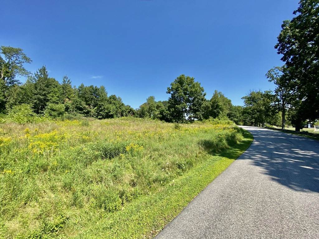 0 Lowland - Photo 1