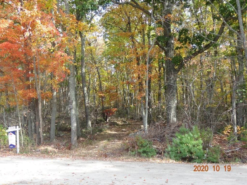 Lot 1 0 Shore Road - Photo 1