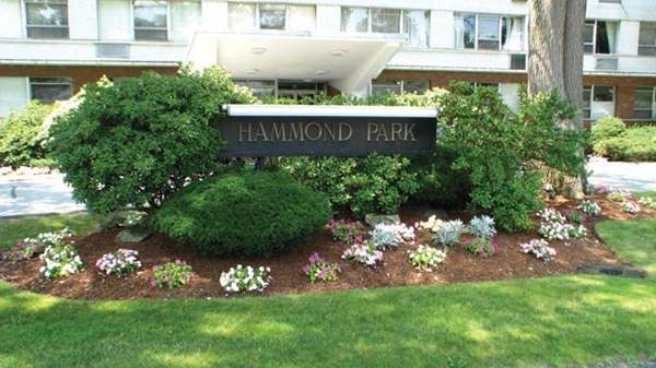10 Hammond Pond Pkwy - Photo 1