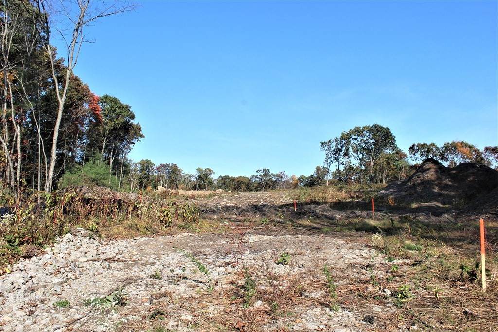 LOT 2 Red Rock Lane - Photo 1