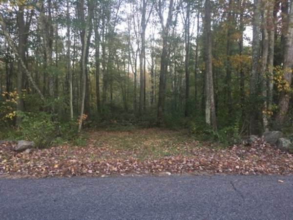 lot 3 Old Gilbertville Road - Photo 1