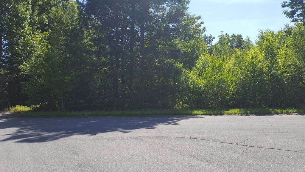 Lot 3 Madera Court - Photo 1