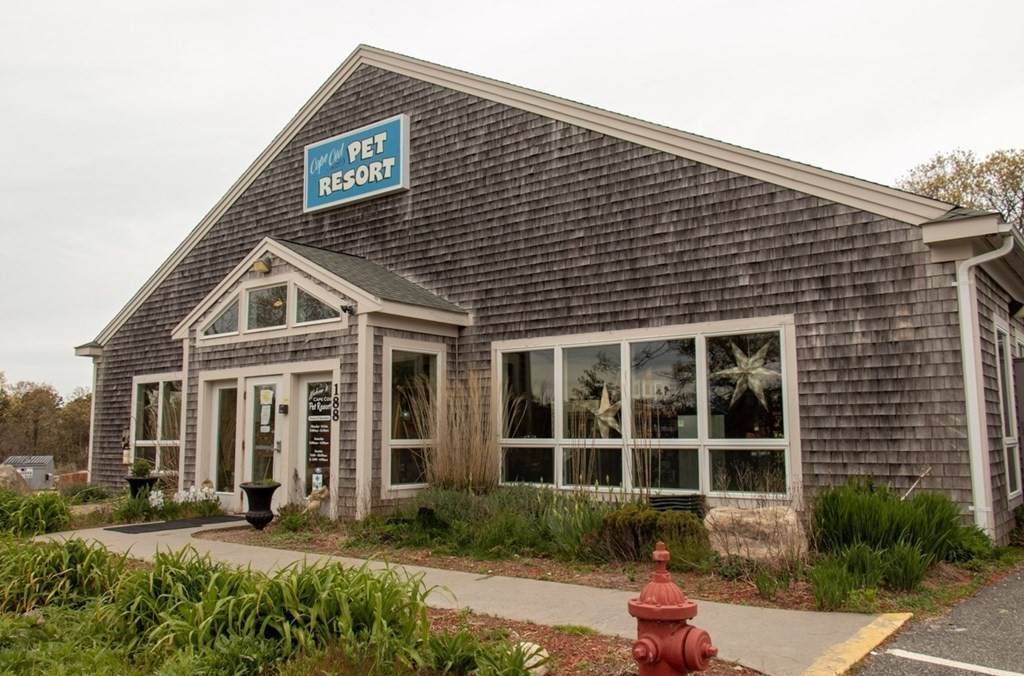 188 Nathan Ellis Hwy - Photo 1