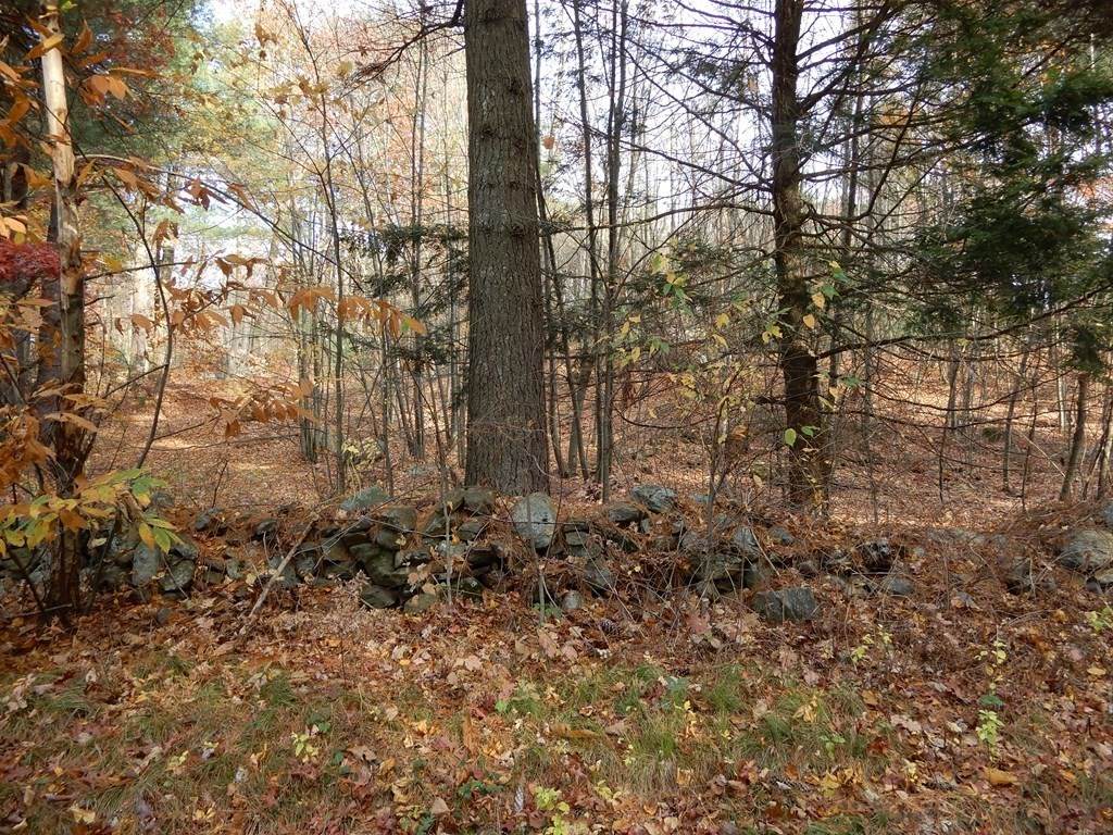 Lot 0 Cronin Rd L - Photo 1