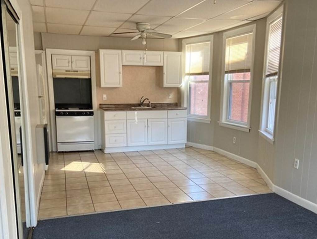 211 Chestnut Street - Photo 1