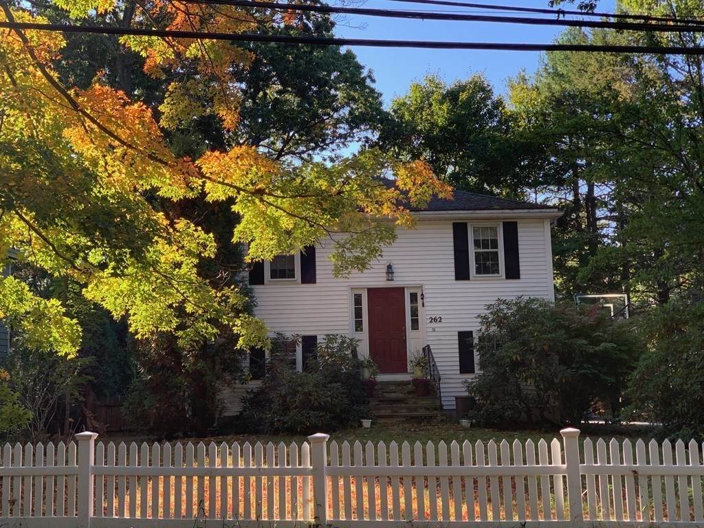 262 Brookline Street - Photo 1