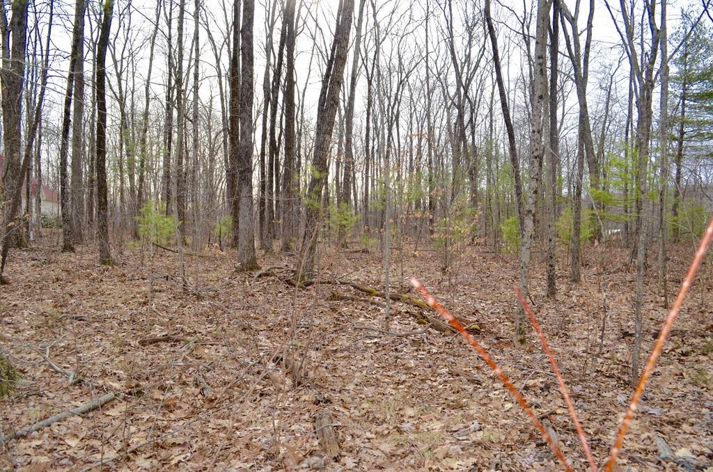 87 Marsh Hill Rd - Photo 1